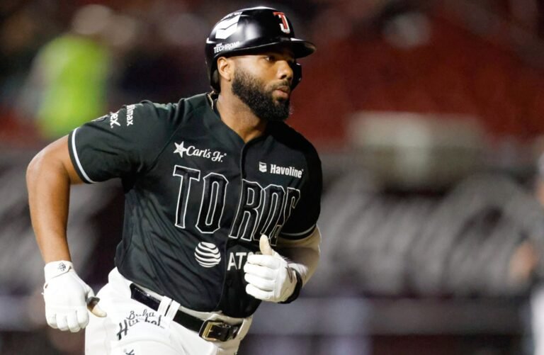 WhatsApp Image 2026-02-24 at 12.17.16