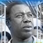 WhatsApp Image 2026-02-24 at 15.17.24