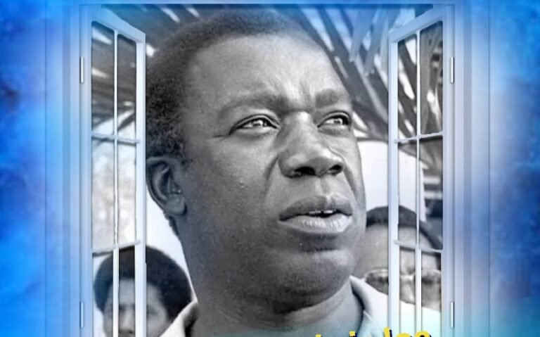 WhatsApp Image 2026-02-24 at 15.17.24