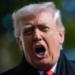 el hombre del pavo 3