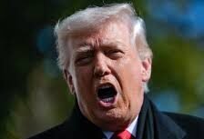 el hombre del pavo 3