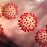 Detectan nueva variante de Covid-19 en 25 estados de EE. UU