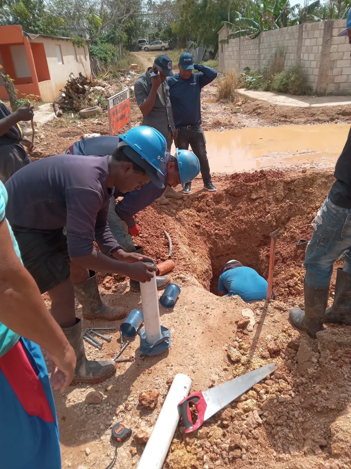 WhatsApp Image 2026-03-03 at 22.01.53