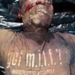 WhatsApp Image 2026-03-11 at 19.45.09