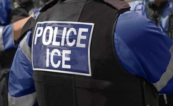 Agentes ICE inundarán NY tras gobernadora aprobar medidas protegen a inmigrantes