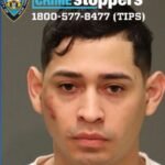 Policia NY identifica pistolero asesinó dominicano de un tiro en restaurant del Bronx