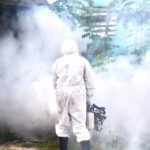 control de dengue