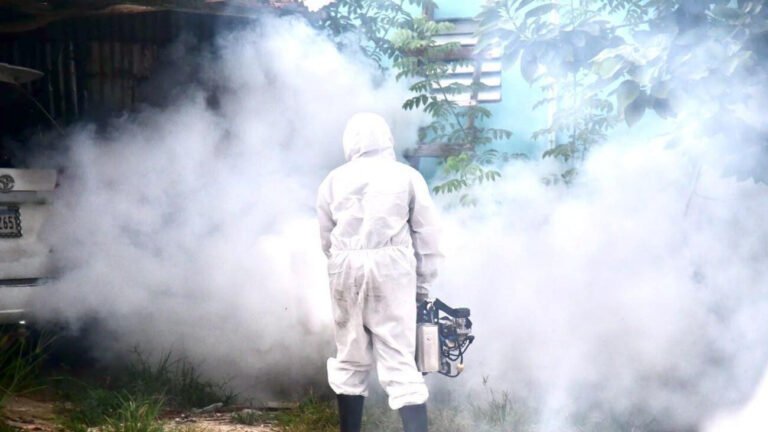 control de dengue