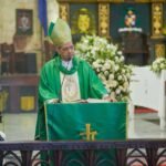 padre diplan