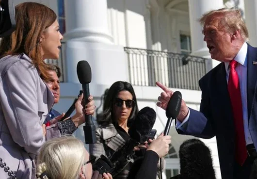 reporterilla